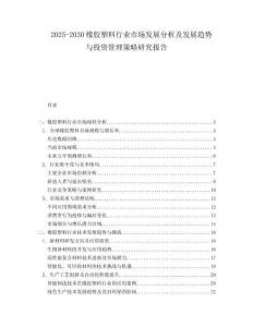 2025-2030橡膠塑料行業(yè)市場(chǎng)發(fā)展分析及發(fā)展趨勢(shì)與投資管理策略研究報(bào)告