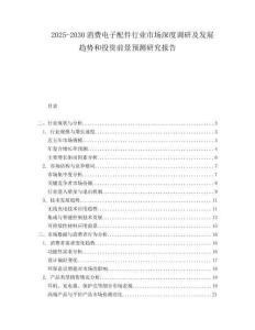 2025-2030消費(fèi)電子配件行業(yè)市場(chǎng)深度調(diào)研及發(fā)展趨勢(shì)和投資前景預(yù)測(cè)研究報(bào)告