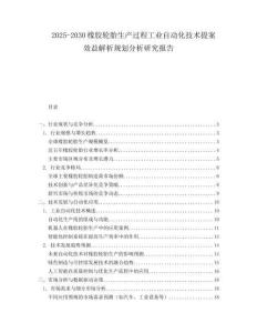 2025-2030橡膠輪胎生產(chǎn)過(guò)程工業(yè)自動(dòng)化技術(shù)提案效益解析規(guī)劃分析研究報(bào)告