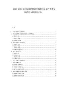 2025-2030先進(jìn)陶瓷靶材磁控濺射核心部件供需發(fā)展趨勢分析投資評估
