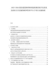 2025-2030消防通道障礙物智能檢測(cè)系統(tǒng)開發(fā)前景及政府公共設(shè)施物聯(lián)網(wǎng)管理平臺(tái)子項(xiàng)目實(shí)施細(xì)則