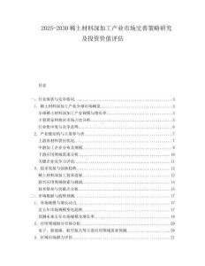2025-2030稀土材料深加工產(chǎn)業(yè)市場完善策略研究及投資價值評估