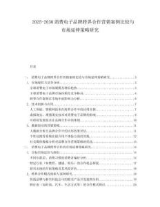 2025-2030消費(fèi)電子品牌跨界合作營(yíng)銷(xiāo)案例比較與市場(chǎng)延伸策略研究