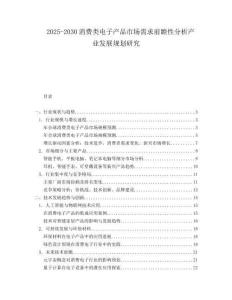 2025-2030消費(fèi)類電子產(chǎn)品市場需求前瞻性分析產(chǎn)業(yè)發(fā)展規(guī)劃研究
