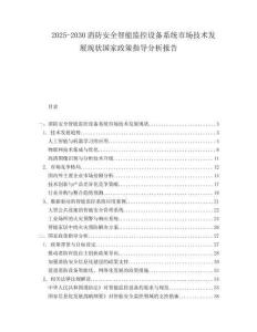 2025-2030消防安全智能監(jiān)控設(shè)備系統(tǒng)市場(chǎng)技術(shù)發(fā)展現(xiàn)狀國(guó)家政策指導(dǎo)分析報(bào)告