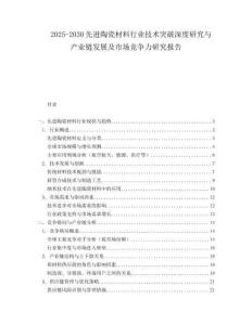 2025-2030先進(jìn)陶瓷材料行業(yè)技術(shù)突破深度研究與產(chǎn)業(yè)鏈發(fā)展及市場(chǎng)競(jìng)爭(zhēng)力研究報(bào)告