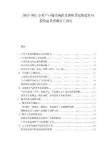 2025-2030小米產(chǎn)業(yè)鏈市場深度調(diào)研及發(fā)展趨勢與投資前景預測研究報告