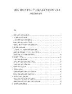 2025-2030消費(fèi)電子產(chǎn)業(yè)技術(shù)革新發(fā)展研判與合作經(jīng)營策略分析