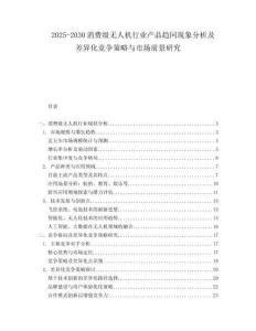 2025-2030消費(fèi)級(jí)無(wú)人機(jī)行業(yè)產(chǎn)品趨同現(xiàn)象分析及差異化競(jìng)爭(zhēng)策略與市場(chǎng)前景研究