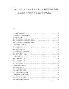 2025-2030先進制航空器制造技術創(chuàng)新市場競爭格局發(fā)展前景風險評估規(guī)劃分析研究報告