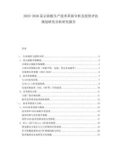 2025-2030顯示面板生產(chǎn)技術(shù)革新分析及投資評(píng)估規(guī)劃研究分析研究報(bào)告