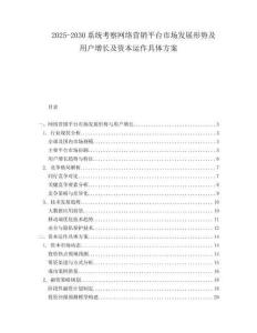 2025-2030系統考察網絡營銷平臺市場發展形勢及用戶增長及資本運作具體方案