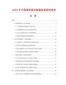 2025年中國澄泥硯臺數據監測研究報告