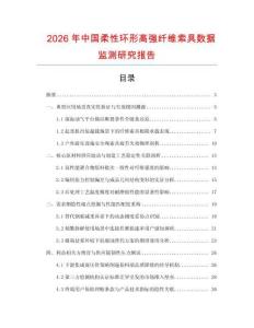 2026年中國柔性環形高強纖維索具數據監測研究報告