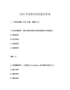 2025年巡視考試試題及答案