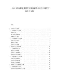 2025-2030新基建投資領域規劃布局及項目投資評估分析文檔