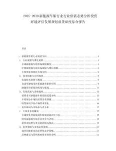 2025-2030新能源車(chē)船行業(yè)行業(yè)供需態(tài)勢(shì)分析投資環(huán)境評(píng)估發(fā)展規(guī)劃前景深度綜合報(bào)告
