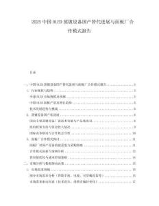 2025中國(guó)OLED蒸鍍?cè)O(shè)備國(guó)產(chǎn)替代進(jìn)展與面板廠合作模式報(bào)告