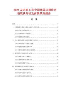 2025及未來5年中國場效應模塊市場現狀分析及前景預測報告
