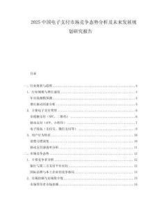 2025中國電子支付市場競爭態勢分析及未來發展規劃研究報告