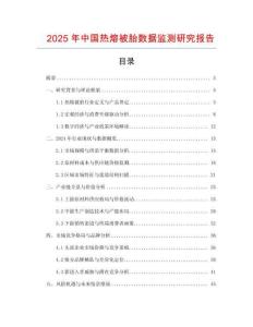 2025年中國熱熔被胎數(shù)據(jù)監(jiān)測研究報告