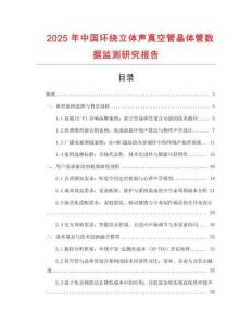 2025年中國環繞立體聲真空管晶體管數據監測研究報告