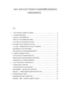 2025-2030知識產權保護行業政策調整及侵權判定與維權機制研究