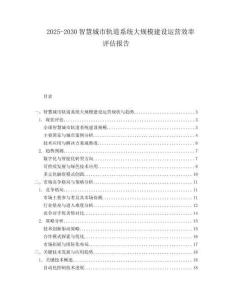2025-2030智慧城市軌道系統(tǒng)大規(guī)模建設(shè)運營效率評估報告