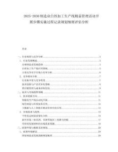 2025-2030制造業(yè)白坯加工生產(chǎn)線精益管理活動(dòng)開展步驟實(shí)施過(guò)程記錄規(guī)劃細(xì)則評(píng)估分析