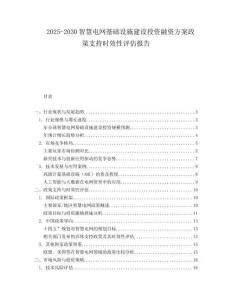 2025-2030智慧電網(wǎng)基礎(chǔ)設(shè)施建設(shè)投資融資方案政策支持時效性評估報告