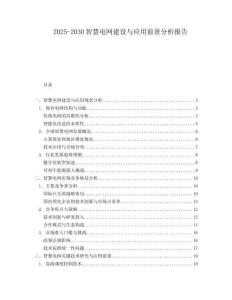 2025-2030智慧電網(wǎng)建設(shè)與應(yīng)用前景分析報告