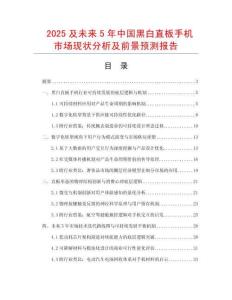 2025及未來5年中國黑白直板手機市場現狀分析及前景預測報告