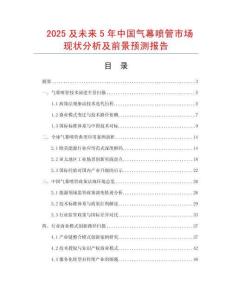 2025及未來5年中國氣幕噴管市場現狀分析及前景預測報告