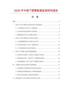 2025年中國下擺臂數據監測研究報告