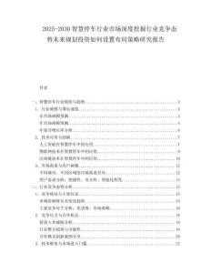 2025-2030智慧停車行業(yè)市場(chǎng)深度挖掘行業(yè)競(jìng)爭(zhēng)態(tài)勢(shì)未來規(guī)劃投資如何設(shè)置布局策略研究報(bào)告