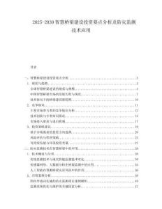 2025-2030智慧橋梁建設投資要點分析及防災監(jiān)測技術(shù)應用