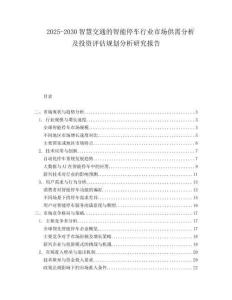 2025-2030智慧交通的智能停車行業(yè)市場(chǎng)供需分析及投資評(píng)估規(guī)劃分析研究報(bào)告