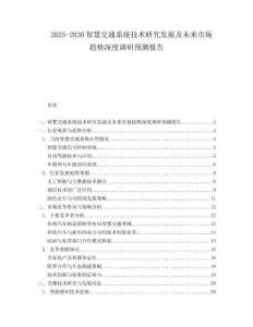 2025-2030智慧交通系統(tǒng)技術(shù)研究發(fā)展及未來市場(chǎng)趨勢(shì)深度調(diào)研預(yù)測(cè)報(bào)告