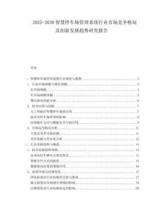 2025-2030智慧停車場管理系統行業市場競爭格局及創新發展趨勢研究報告