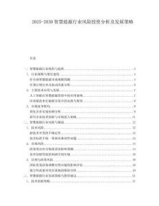 2025-2030智慧能源行業(yè)風(fēng)險投資分析及發(fā)展策略