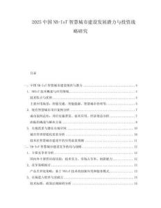 2025中國NB-IoT智慧城市建設發展潛力與投資戰略研究