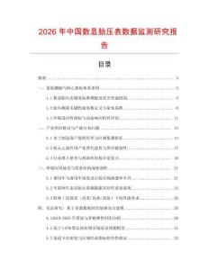 2026年中國數顯胎壓表數據監測研究報告