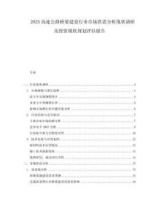 2025高速公路橋梁建設(shè)行業(yè)市場供需分析現(xiàn)狀調(diào)研及投資現(xiàn)狀規(guī)劃評估報(bào)告