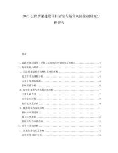 2025公路橋梁建設(shè)項(xiàng)目評估與運(yùn)營風(fēng)險(xiǎn)控制研究分析報(bào)告