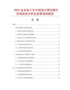 2025及未來5年中國強力彈性磨片市場現狀分析及前景預測報告