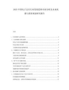 2025中國電子支付行業發展趨勢全面分析及未來機遇與投資規劃研究報告
