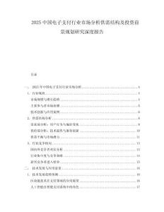 2025中國電子支付行業市場分析供需結構及投資前景規劃研究深度報告