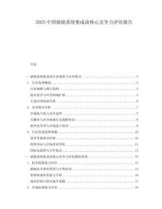 2025中國(guó)儲(chǔ)能系統(tǒng)集成商核心競(jìng)爭(zhēng)力評(píng)估報(bào)告