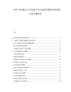 2025分析報告汽車改裝行業(yè)市場深度調(diào)研發(fā)展趨勢前景預(yù)測研究