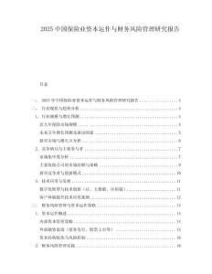 2025中國保險業資本運作與財務風險管理研究報告